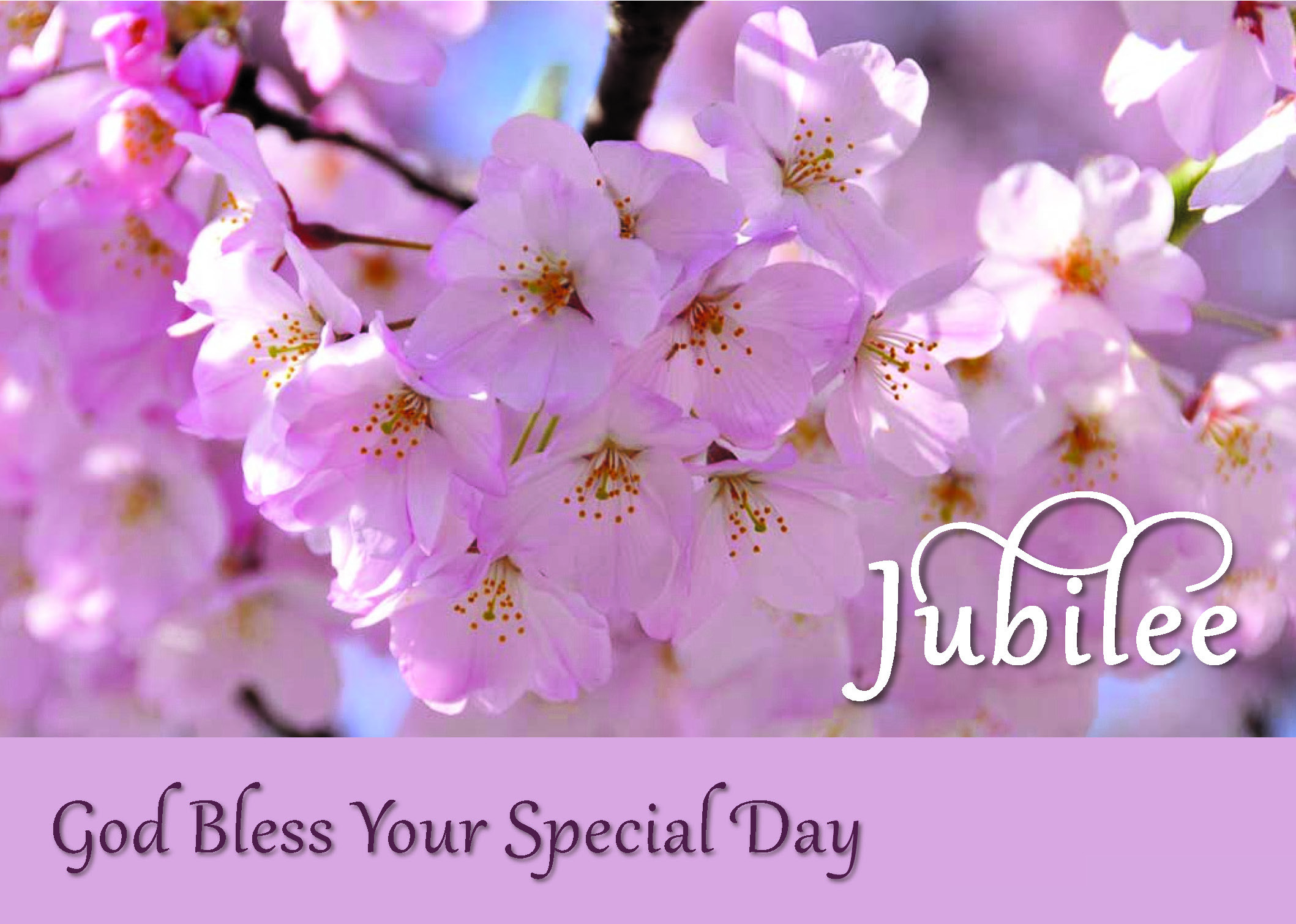 Jubilee 2020 Cherry Blossoms – St. Elizabeth Mission Society